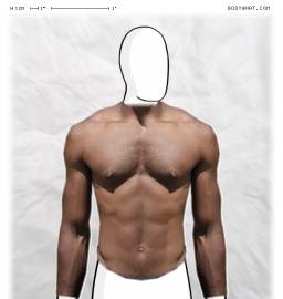 Torso