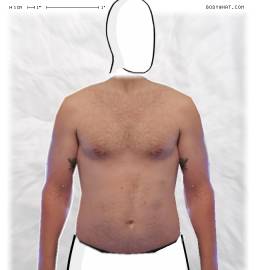 Torso