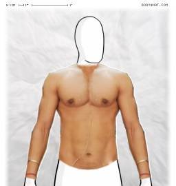 Torso
