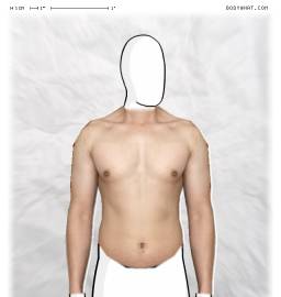 Torso