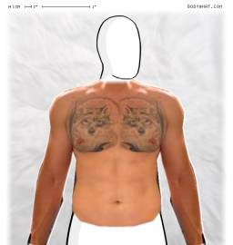 Torso