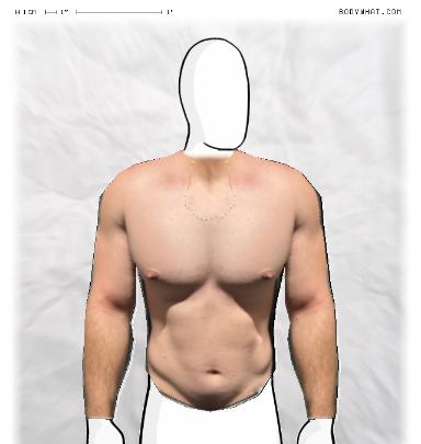 Muscle Morphing