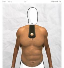 Torso