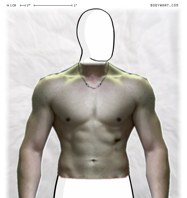 Picture 1