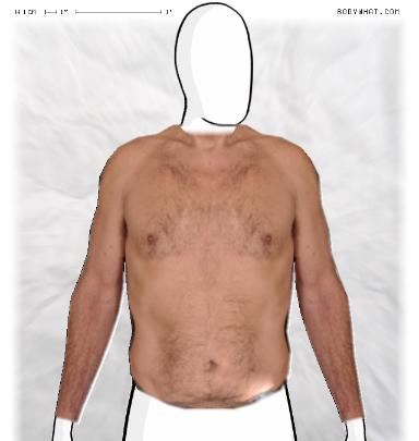 Muscle Morphing