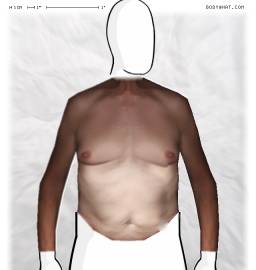 Torso