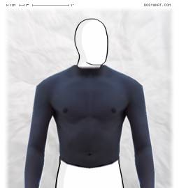 Torso