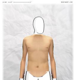 Torso