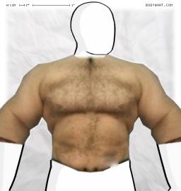 Torso