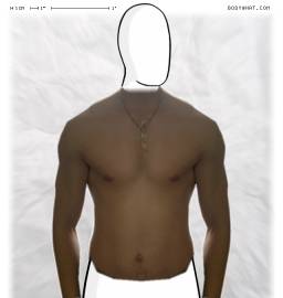 Torso