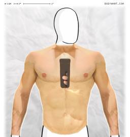 Torso