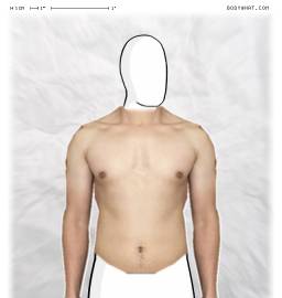 Torso