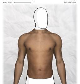 Torso