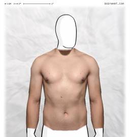 Torso