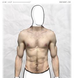 Torso