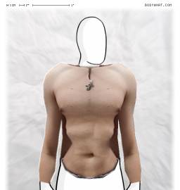 Torso