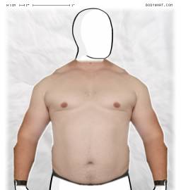 Torso