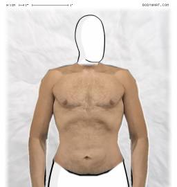 Torso