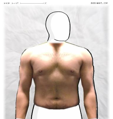 Muscle Morphing