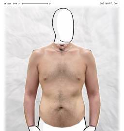 Torso