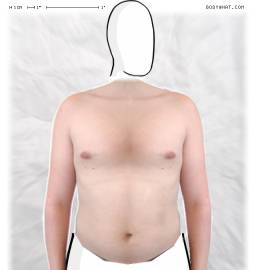 Torso