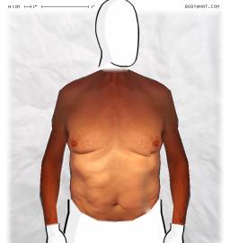 Torso