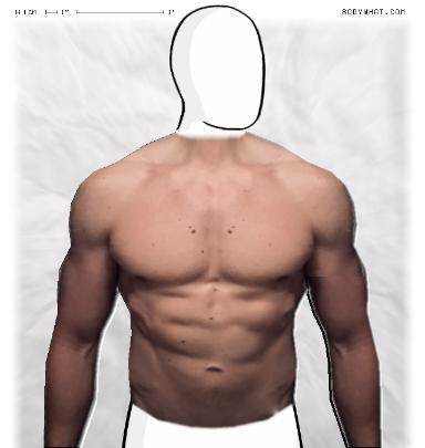 Muscle-ing up