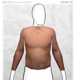 Torso