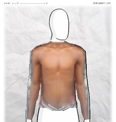 Muscle Morphing