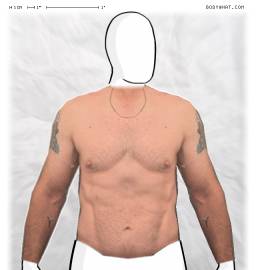 Torso