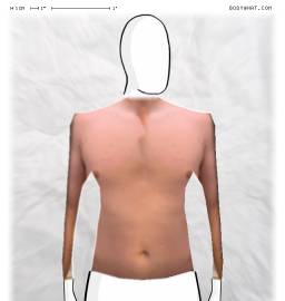 Torso