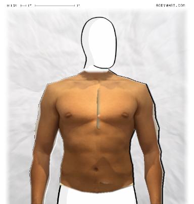 Muscle Morphing