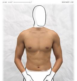 Torso