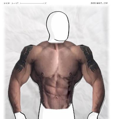 Muscle-ing up
