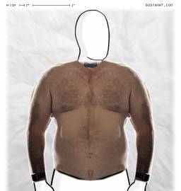 Torso