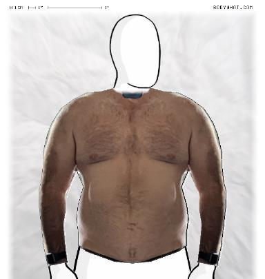 Muscle Morphing