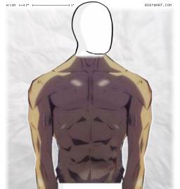 Torso
