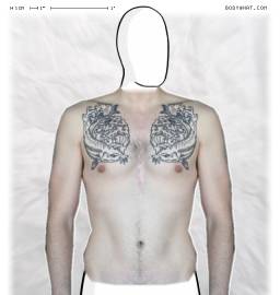 Torso