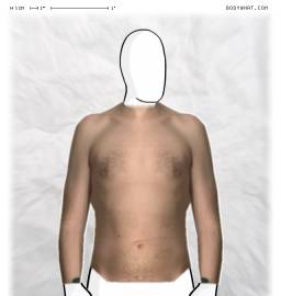 Torso