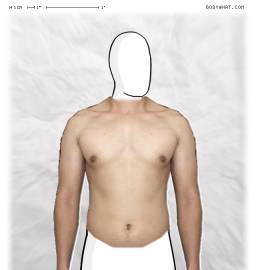 Torso