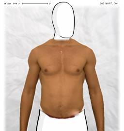 Torso