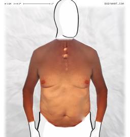 Torso