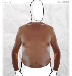 Torso