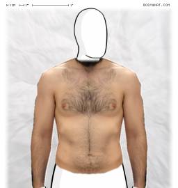 Torso