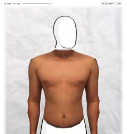Torso