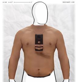 Torso