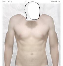 Torso