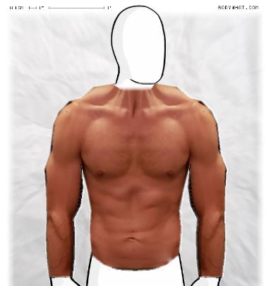 Muscle-ing up