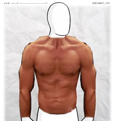 Muscle-ing up