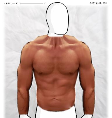 Muscle-ing up